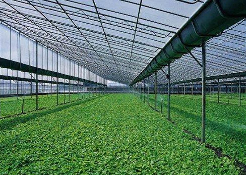 生態(tài)農業(yè):有機肥制作方法